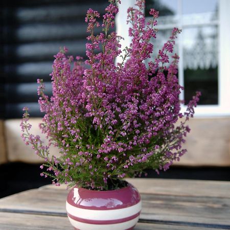 Reiherweg3A Sudbrookmerland Екстер'єр фото